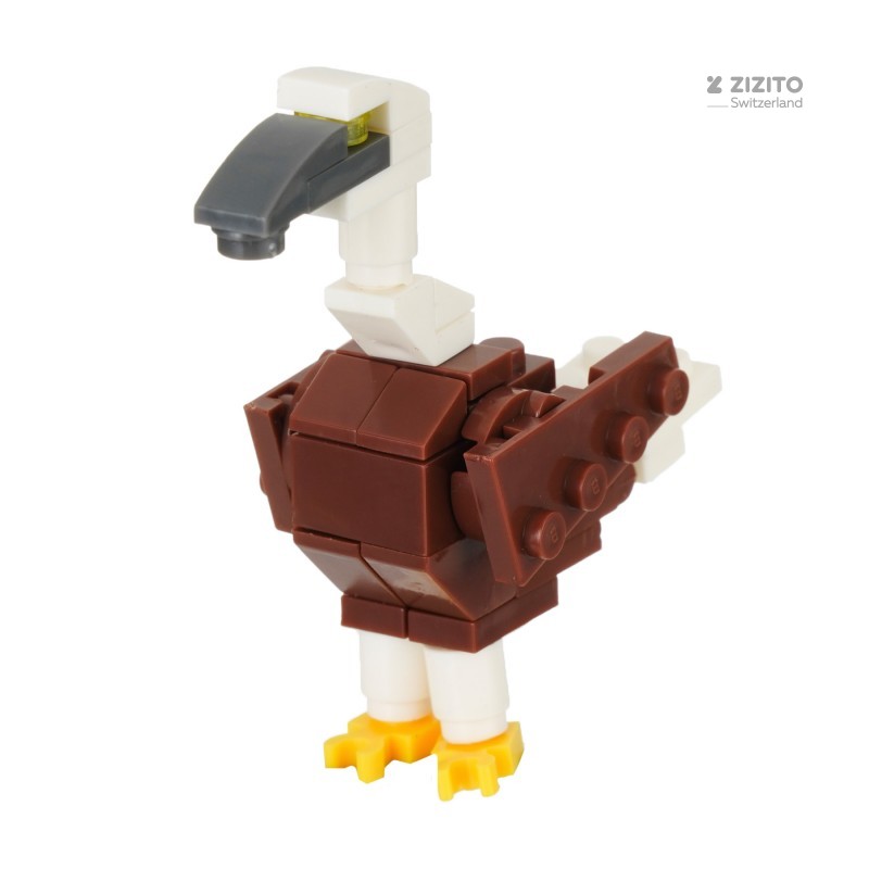 Constructor with flying birds in an egg GT