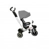 Kinderdreirad ZIZITO NOAM 3-in-1 - Grau